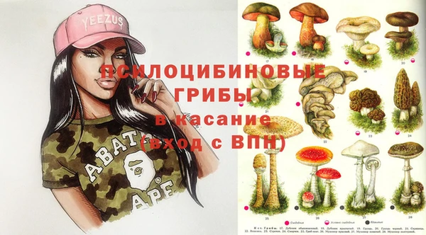 кристаллы Ельня