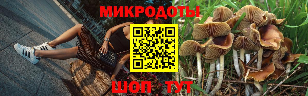 Псилоцибиновые грибы прущие грибы  Галлюциногенные грибы Psilocybe  Вход с VPN  Карталы 